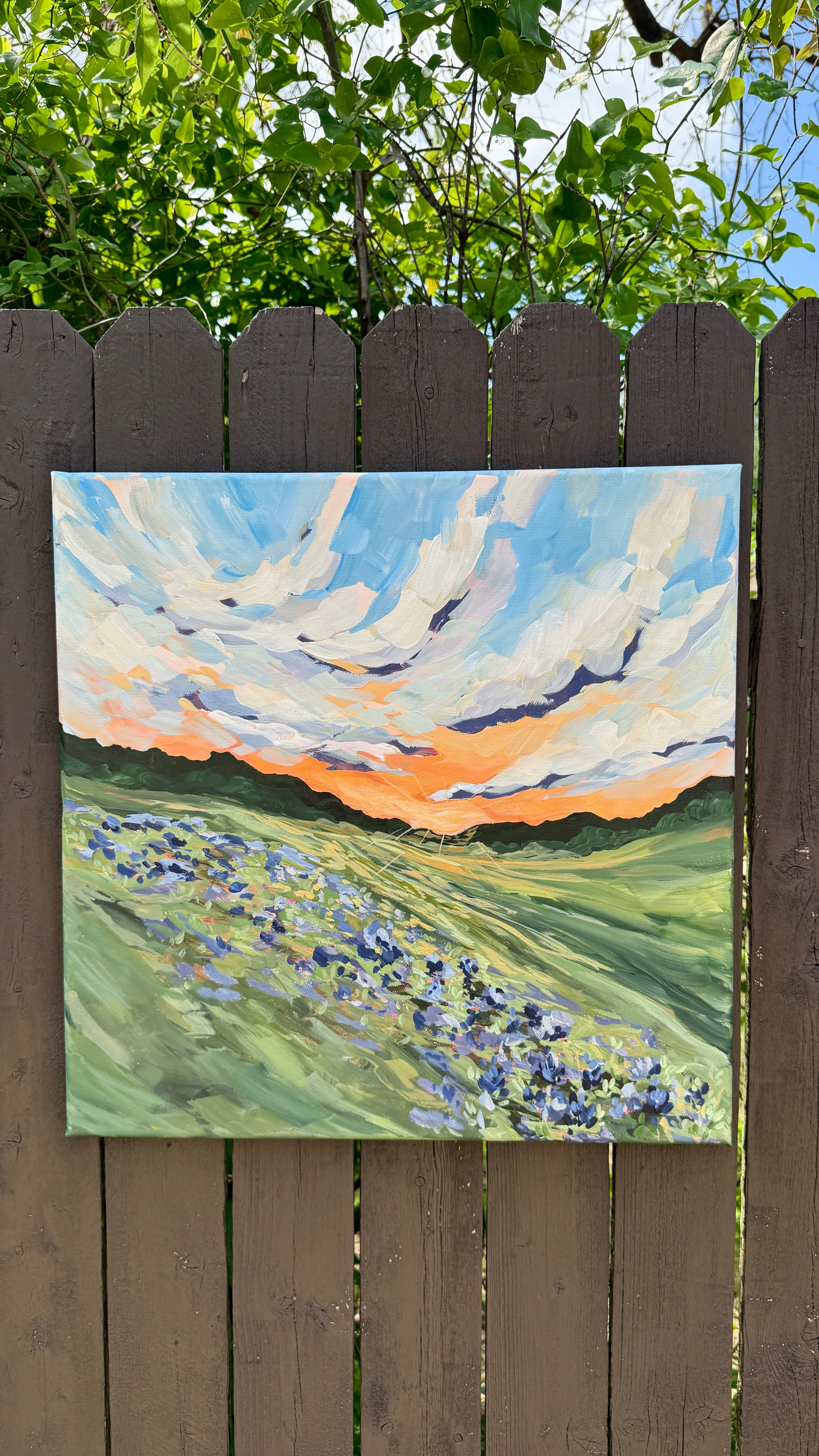 Bluebonnet Season, 18x18 ORIGINAL